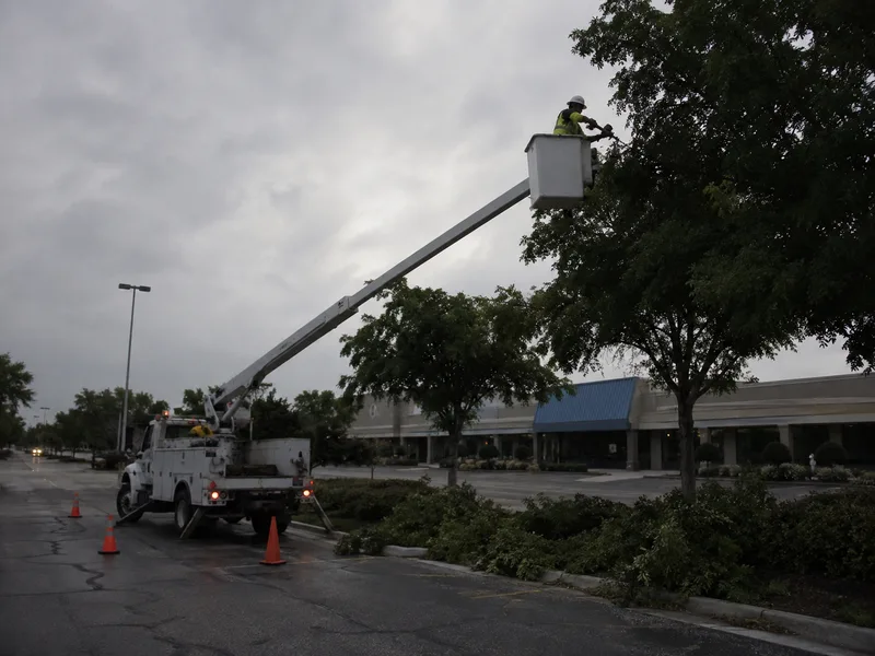 Commercial tree service Tacoma, bucket truck trimming trees over retail parking lot