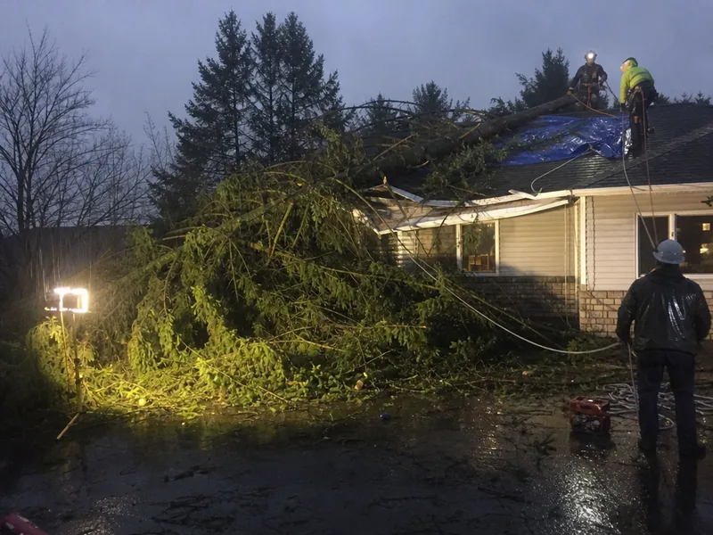 Emergency tree removal Tacoma, storm dropped fir on a roof at night