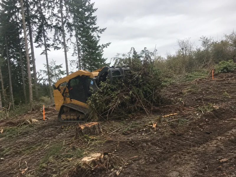 Land clearing Tacoma, skid steer moving brush pile on wooded lot