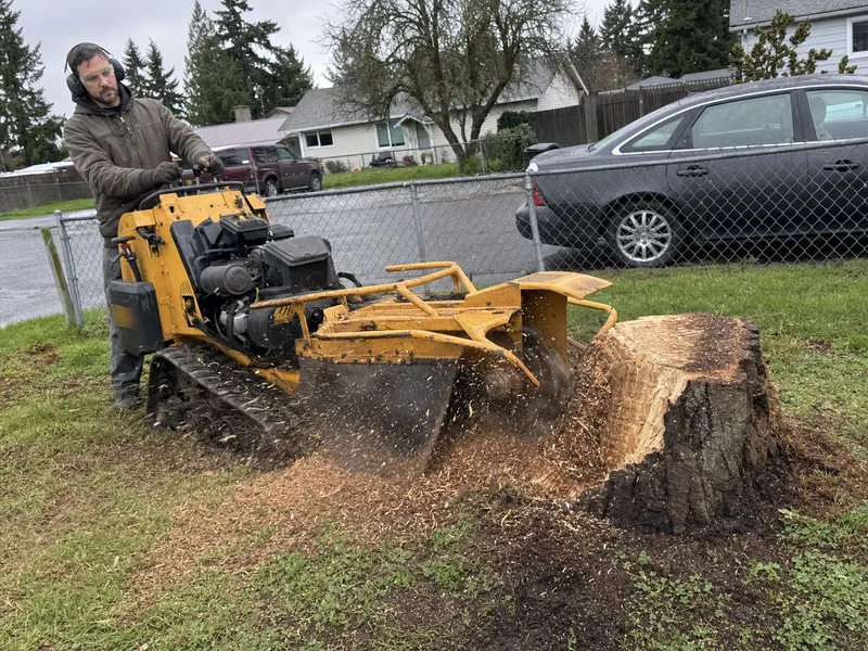 Stump grinding Tacoma, Vermeer grinder chewing out a fir stump