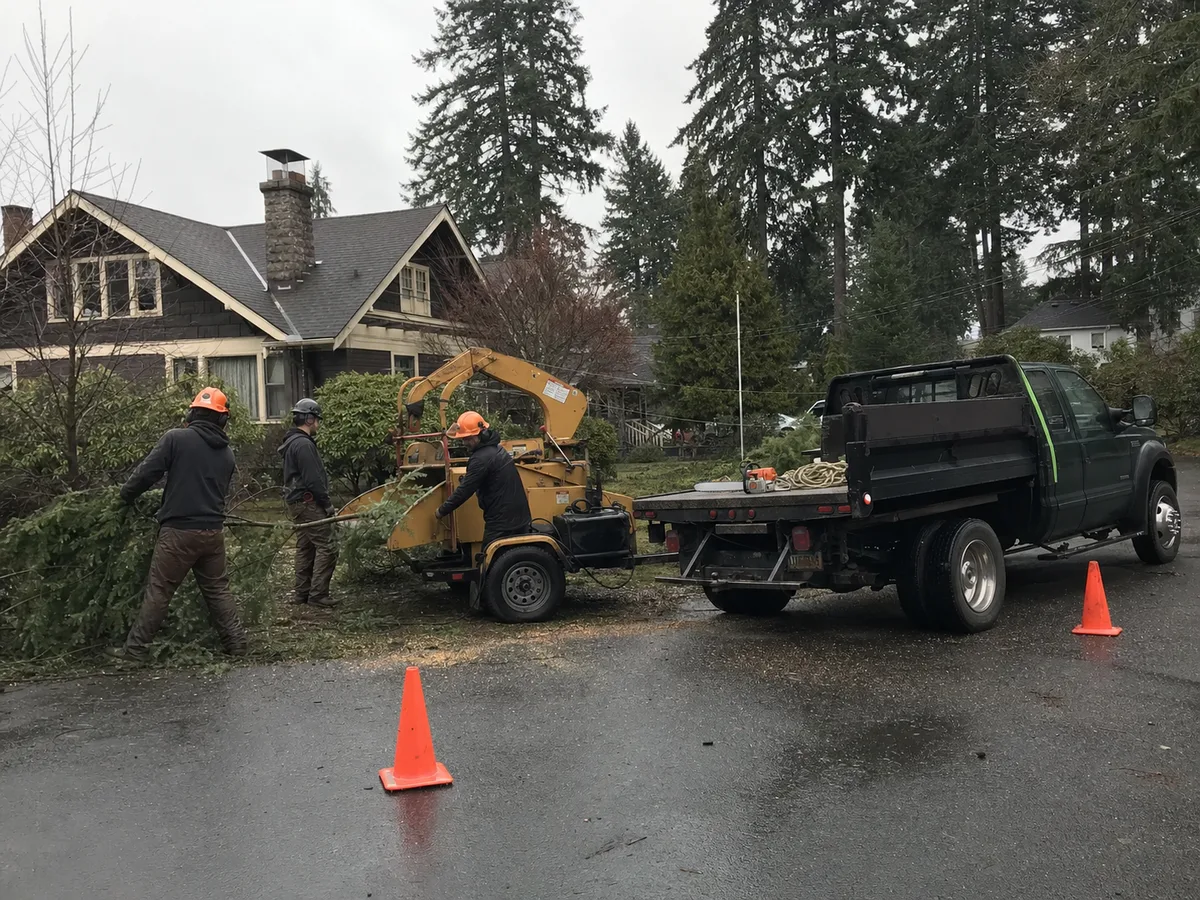Tree service Tacoma WA crew removing a Douglas fir with chipper truck